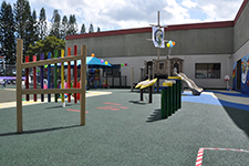 Feig Family Playground Equipment